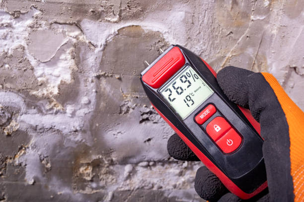 Best Professional Mold Removal  in Belleville, WI