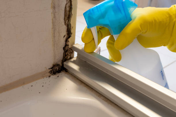 Best Emergency Mold Removal  in Belleville, WI